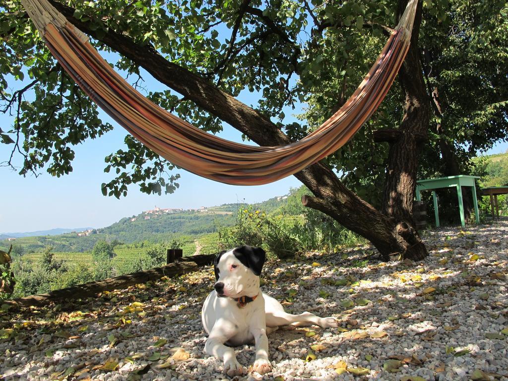 Farmstay Kmetija Stekar Kojsko Exteriér fotografie