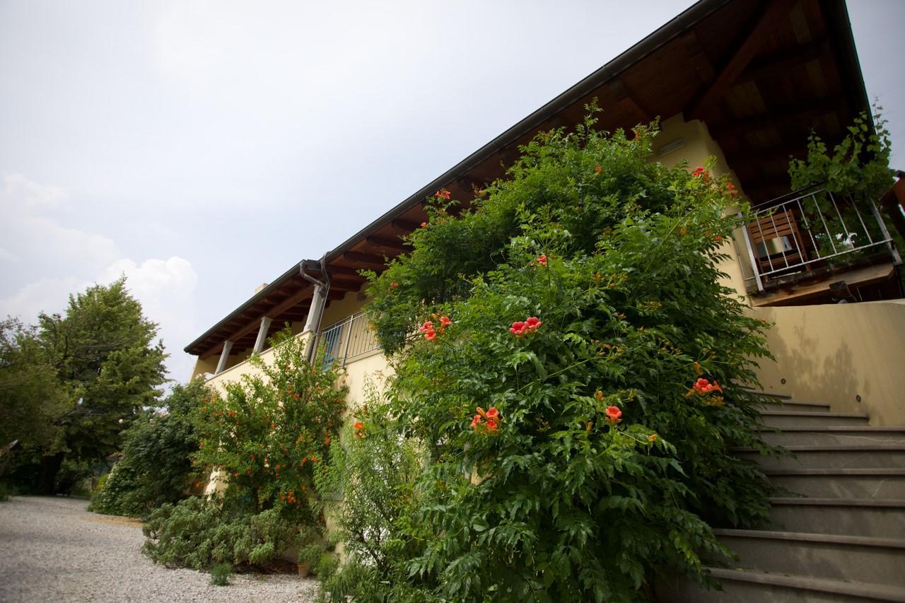 Farmstay Kmetija Stekar Kojsko Exteriér fotografie