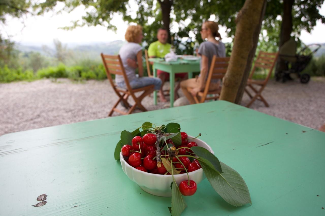 Farmstay Kmetija Stekar Kojsko Exteriér fotografie